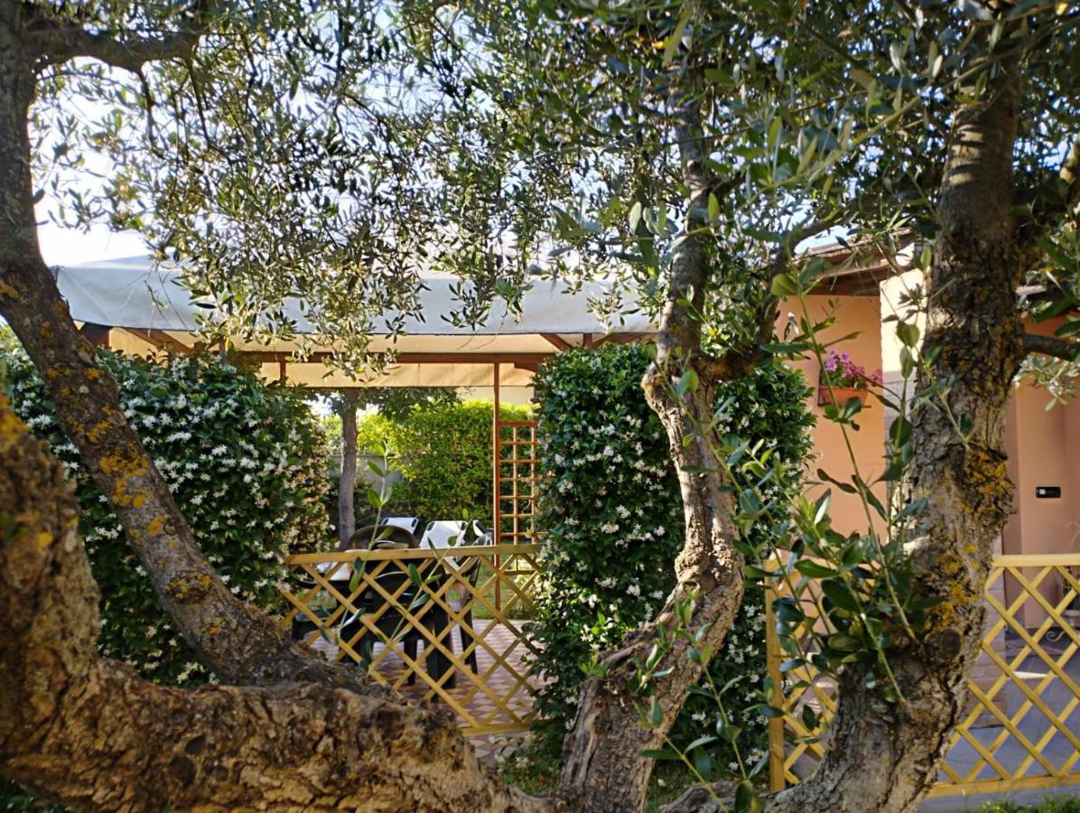 Melody House - Dependance Villa Castel del Bosco  Bagian luar foto